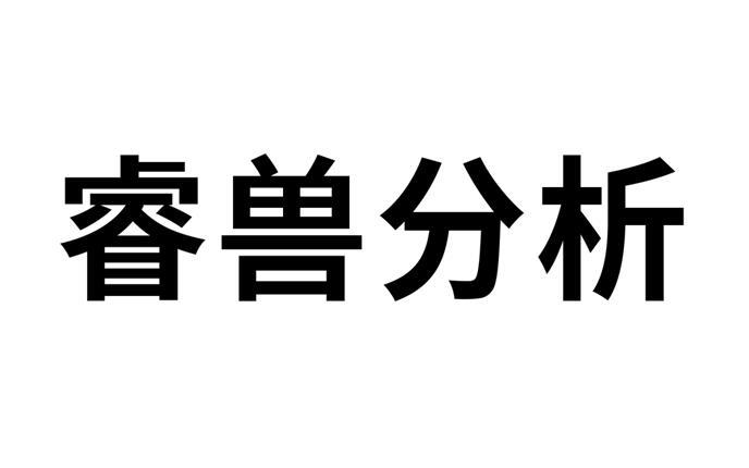 睿兽分析