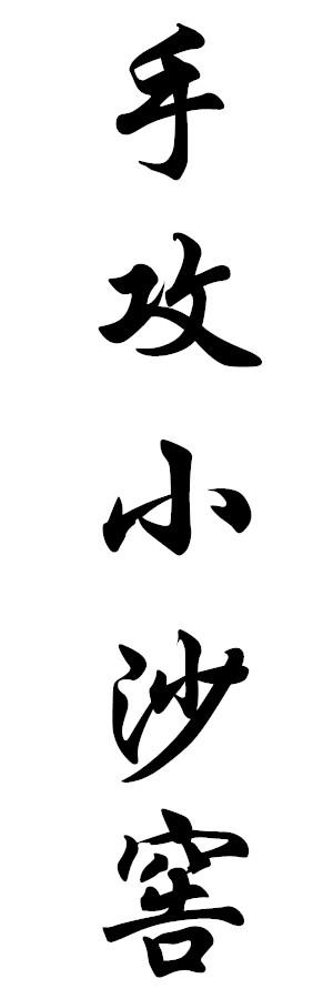 手攻小沙窖