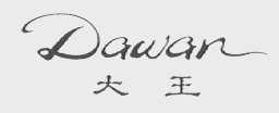 大王