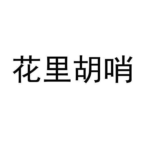 花里胡哨