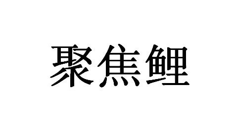 聚焦鲤
