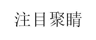 注目聚睛