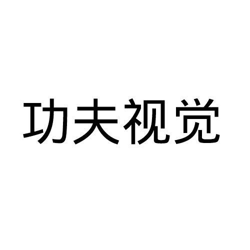 功夫视觉