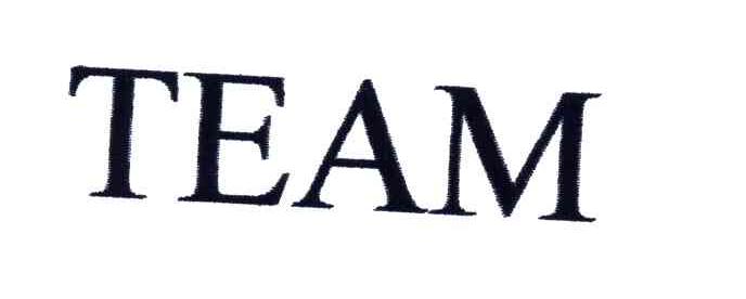 TEAM