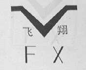 飞翔