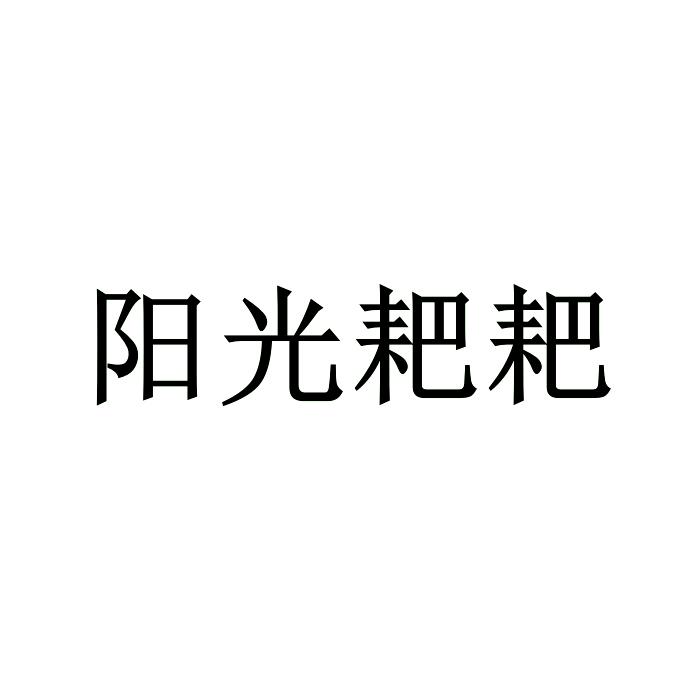阳光耙耙