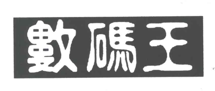 数码王
