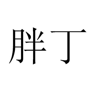 胖丁