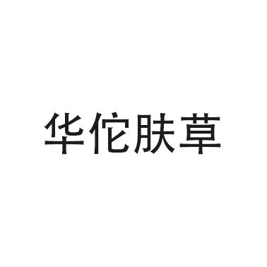 华佗肤草