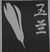 玉兰
