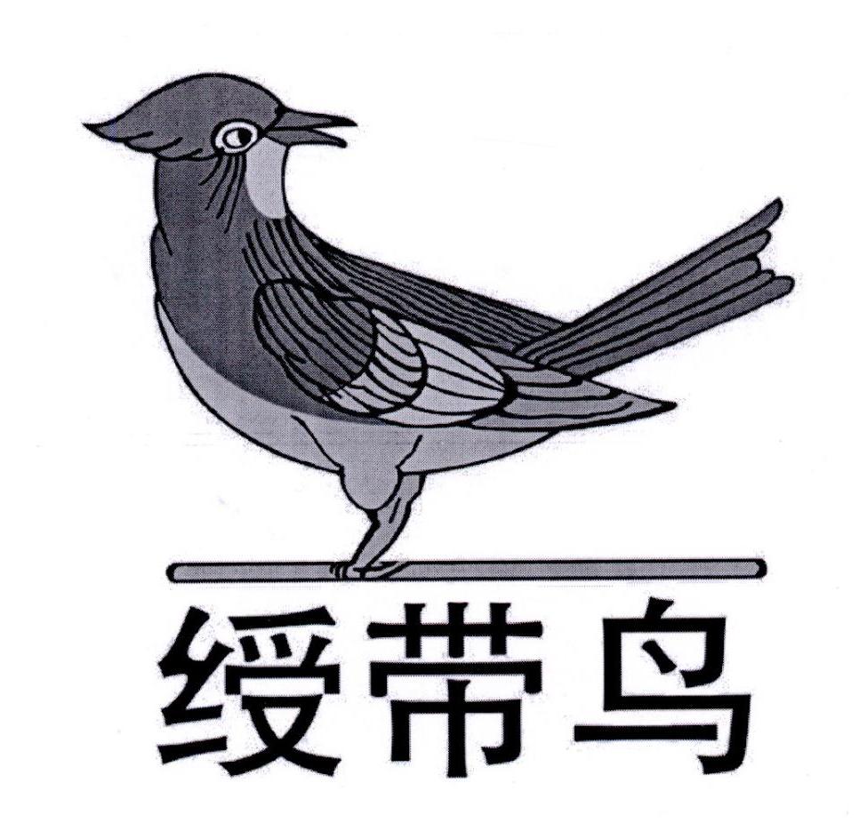 绶带鸟