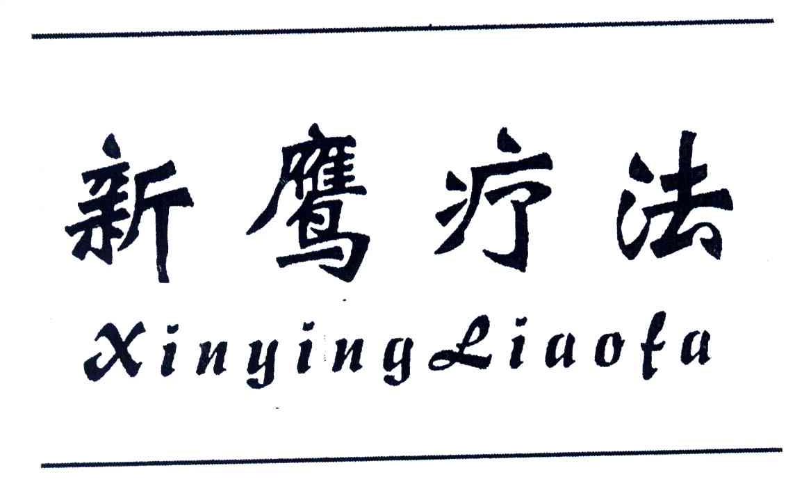 新鹰