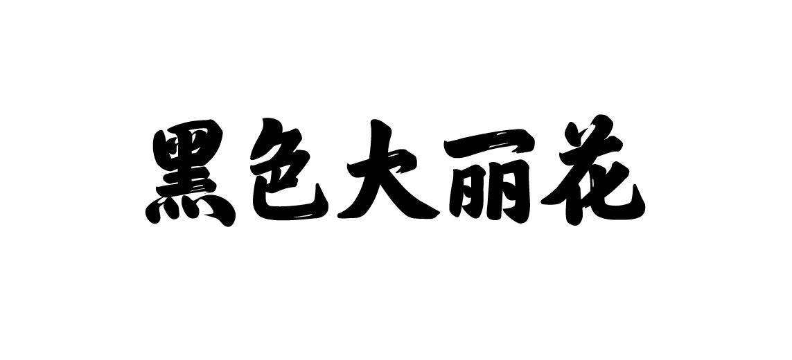 黑色大丽花