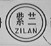 紫兰