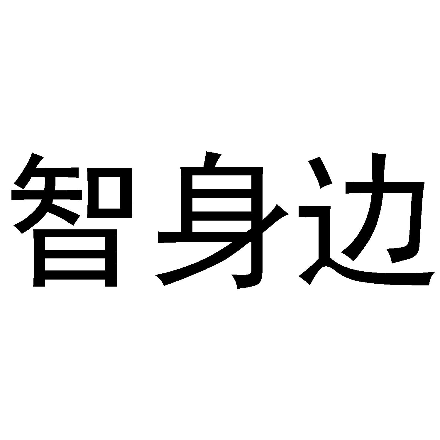 智身边
