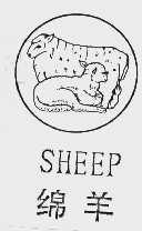 绵羊;SHEEP