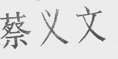 蔡义文