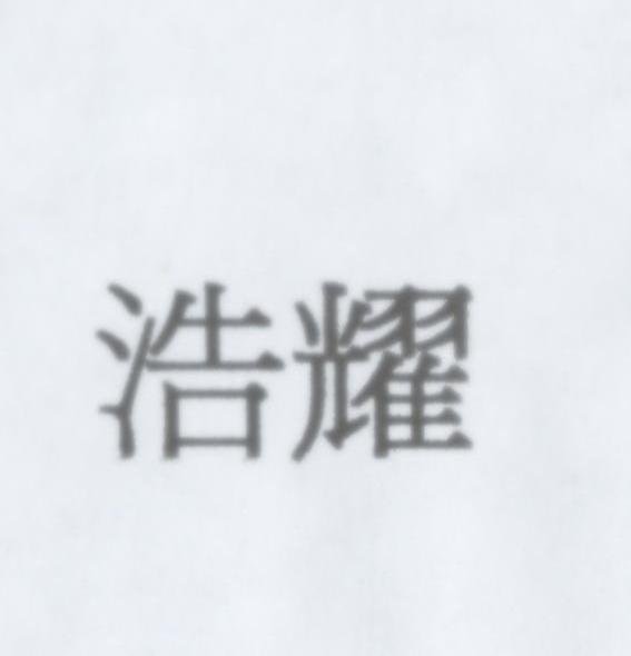 浩耀