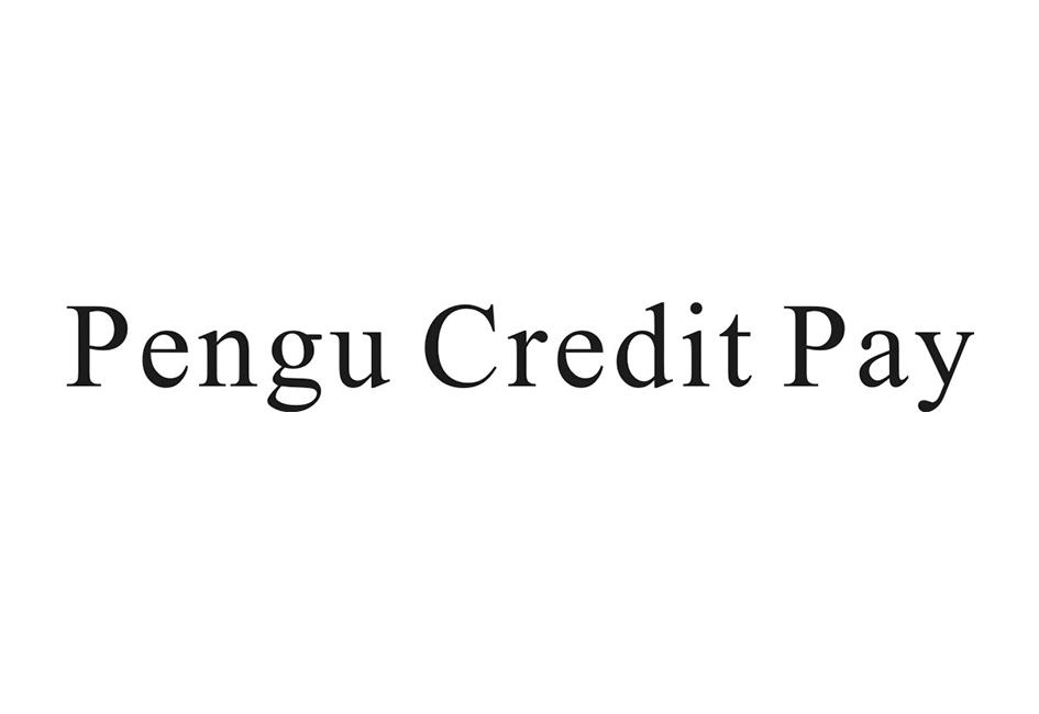 PENGU CEEDIT PAY