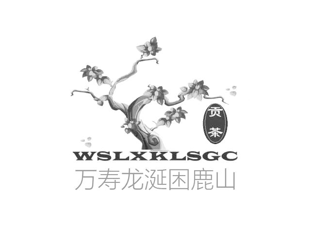 万寿龙涎困鹿山 贡茶 WSLXKLSGC