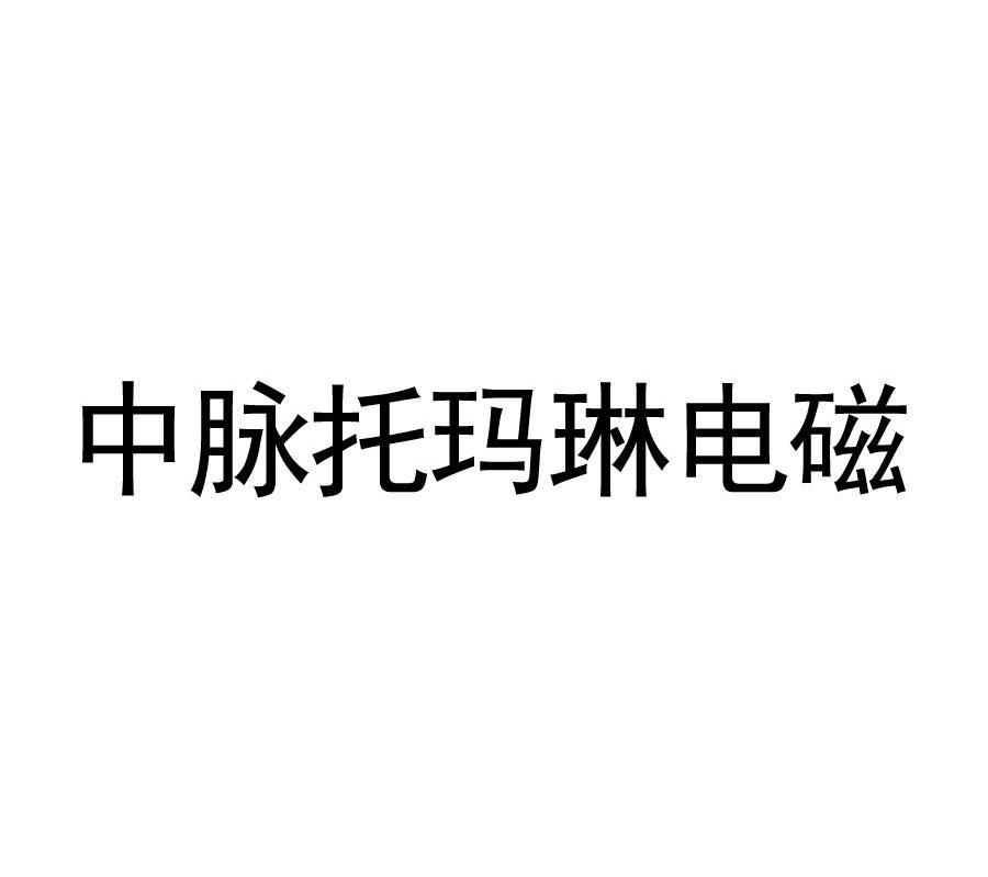 中脉托玛琳电磁