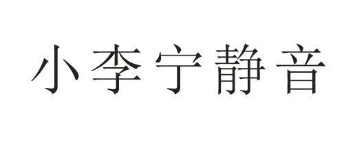 小李宁静音