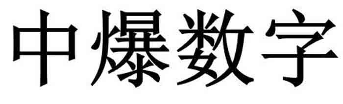 中爆数字