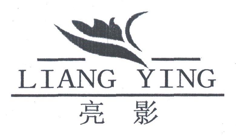 亮影