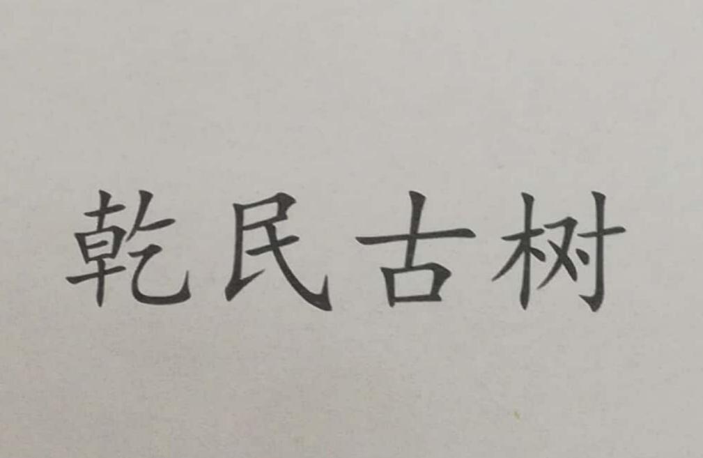 乾民古树