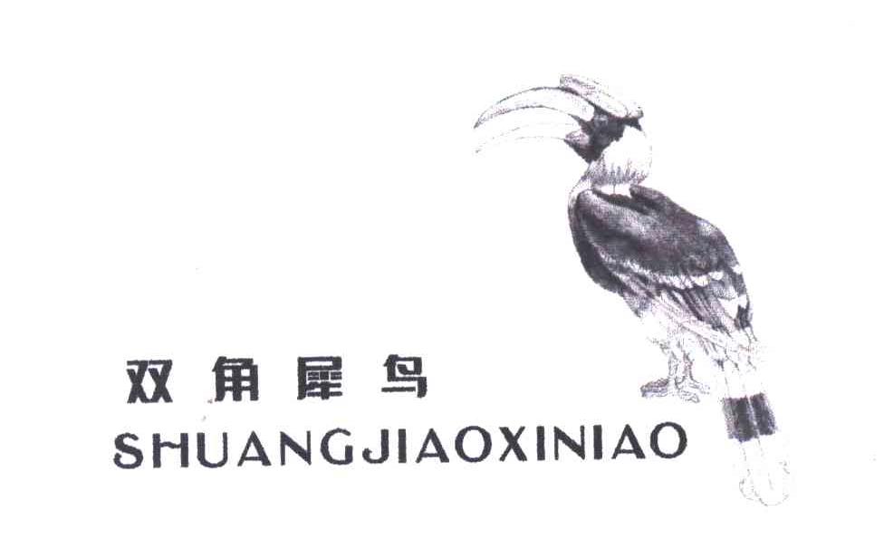 双角犀鸟