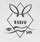 泰渔