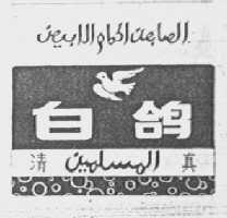 白鸽