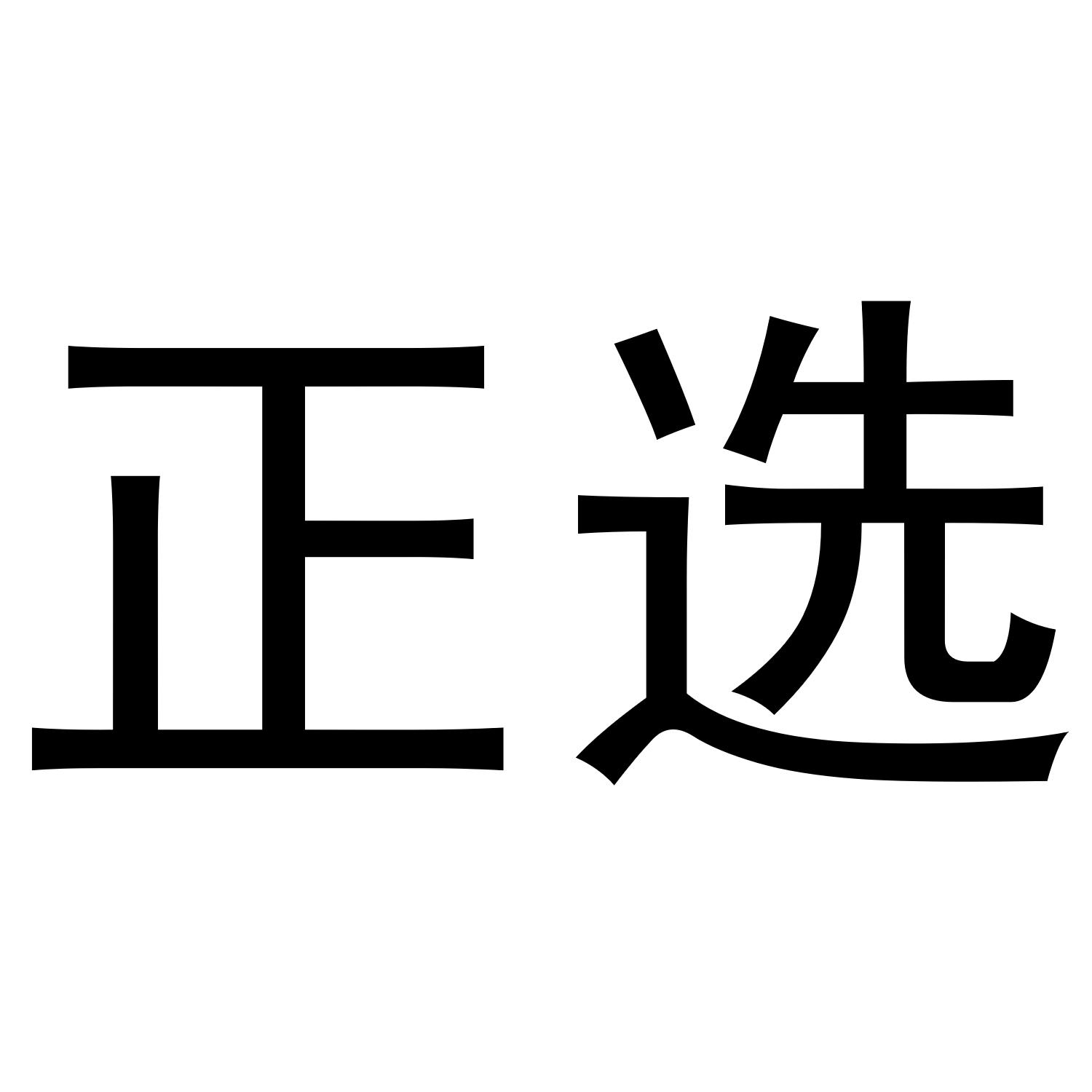 正选