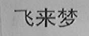 飞来梦