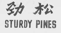 劲松