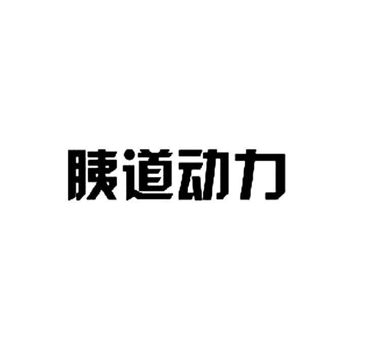 胰道动力