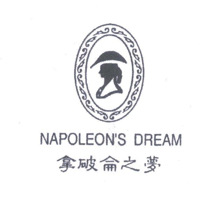 拿破仑之梦;NAPOLEON'S DREAM