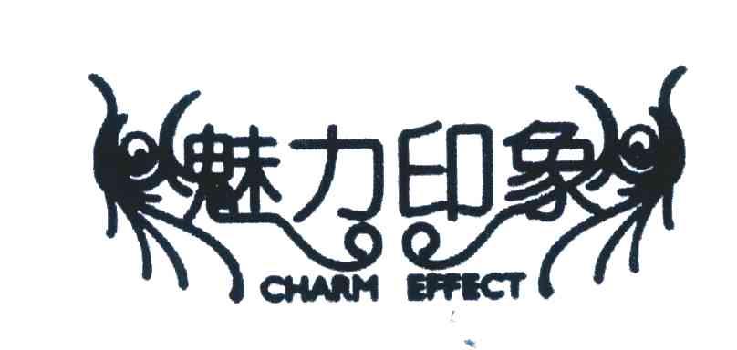 魅力印象;CHARM EFFECT
