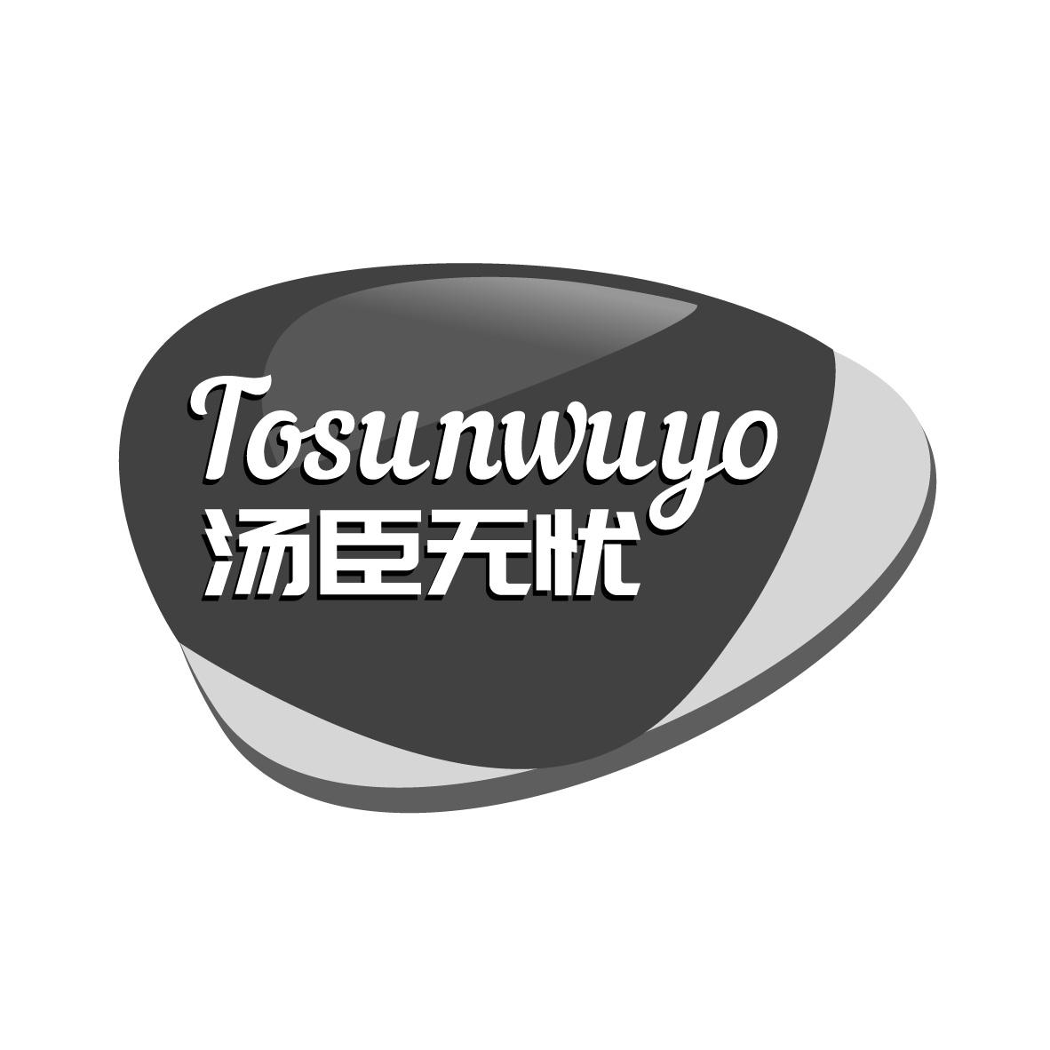 汤臣无忧 TOSUNWUYO