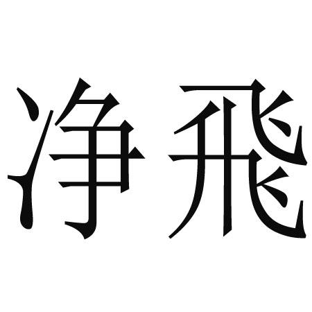 净飞