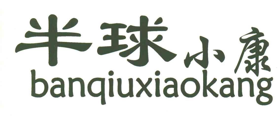 半球小康