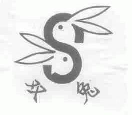 双兔