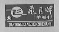 飞月