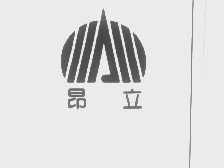 昂立