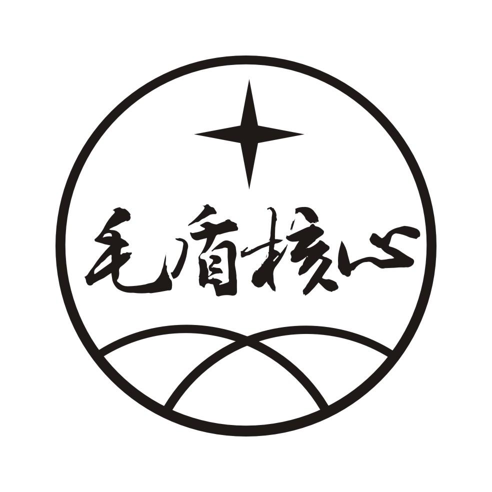 毛盾核心