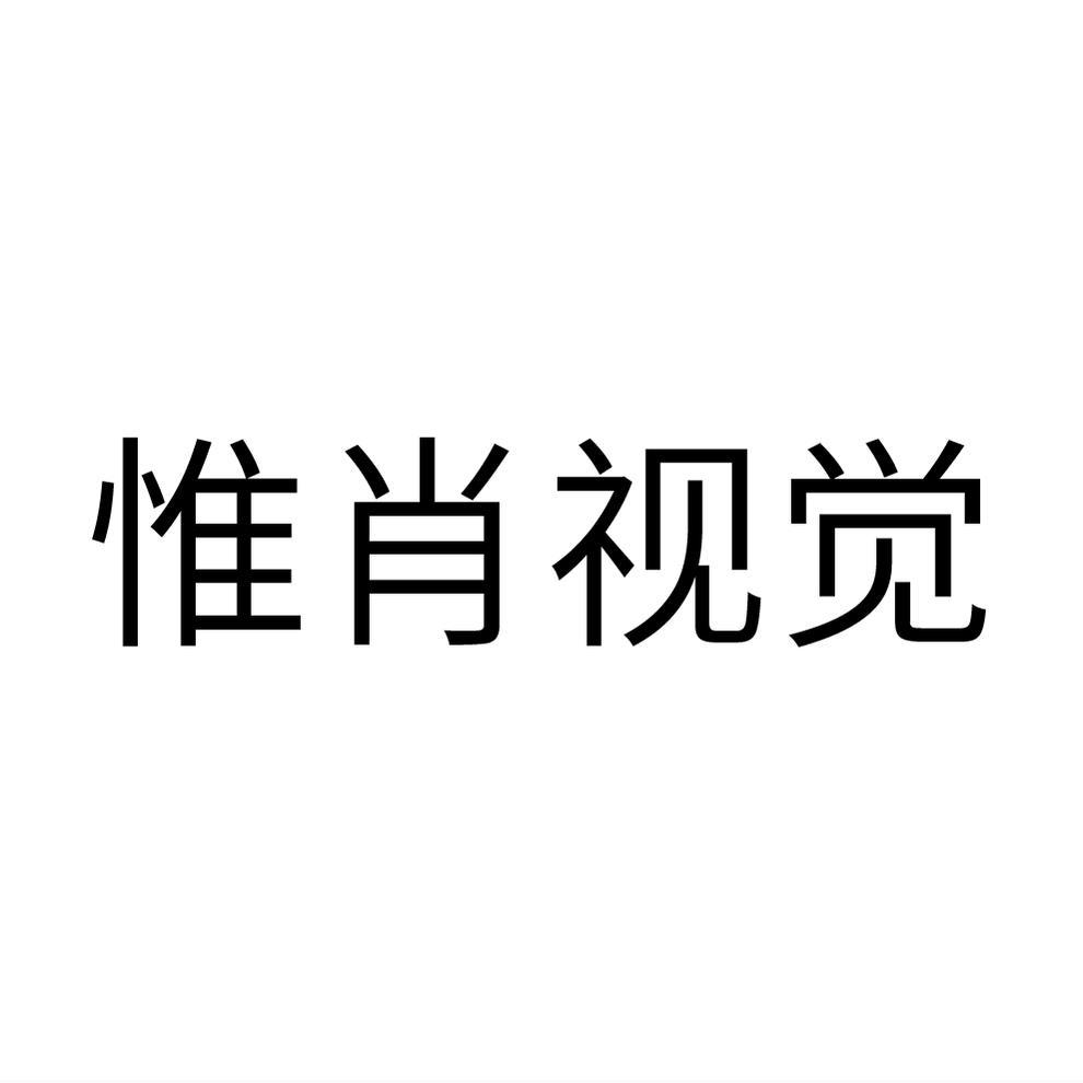 惟肖视觉