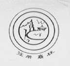 半岛