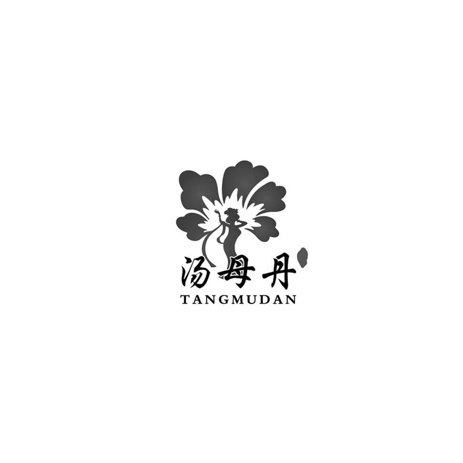 汤母丹