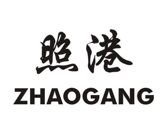 照港