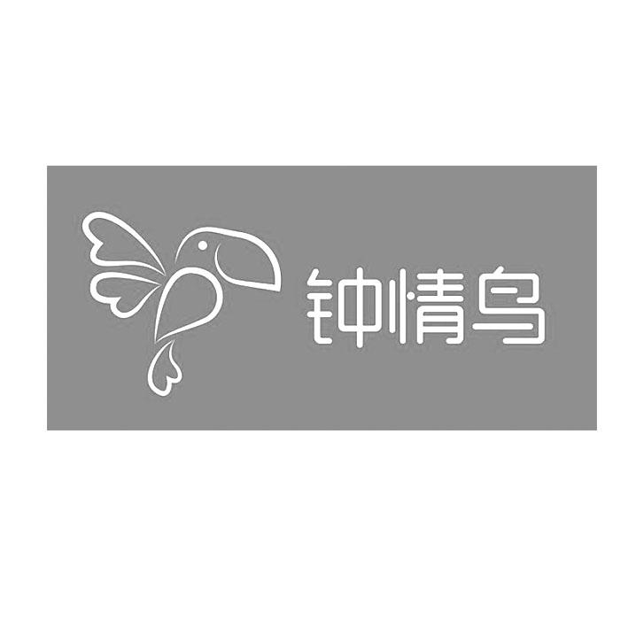 钟情鸟